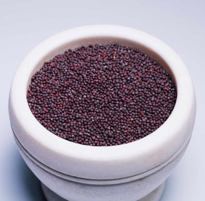 Mustard Seed Brown